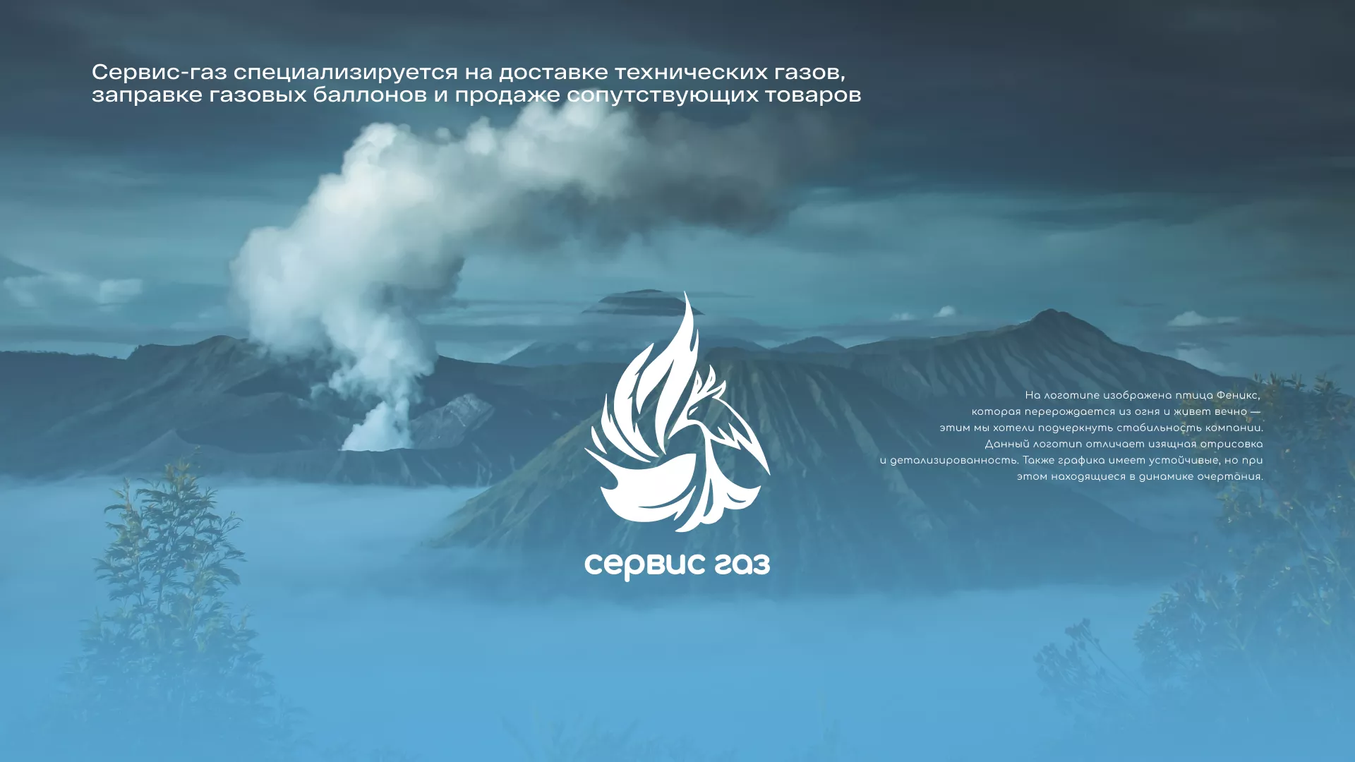 Создание сайта компании «Сервис газ» в Змеиногорске