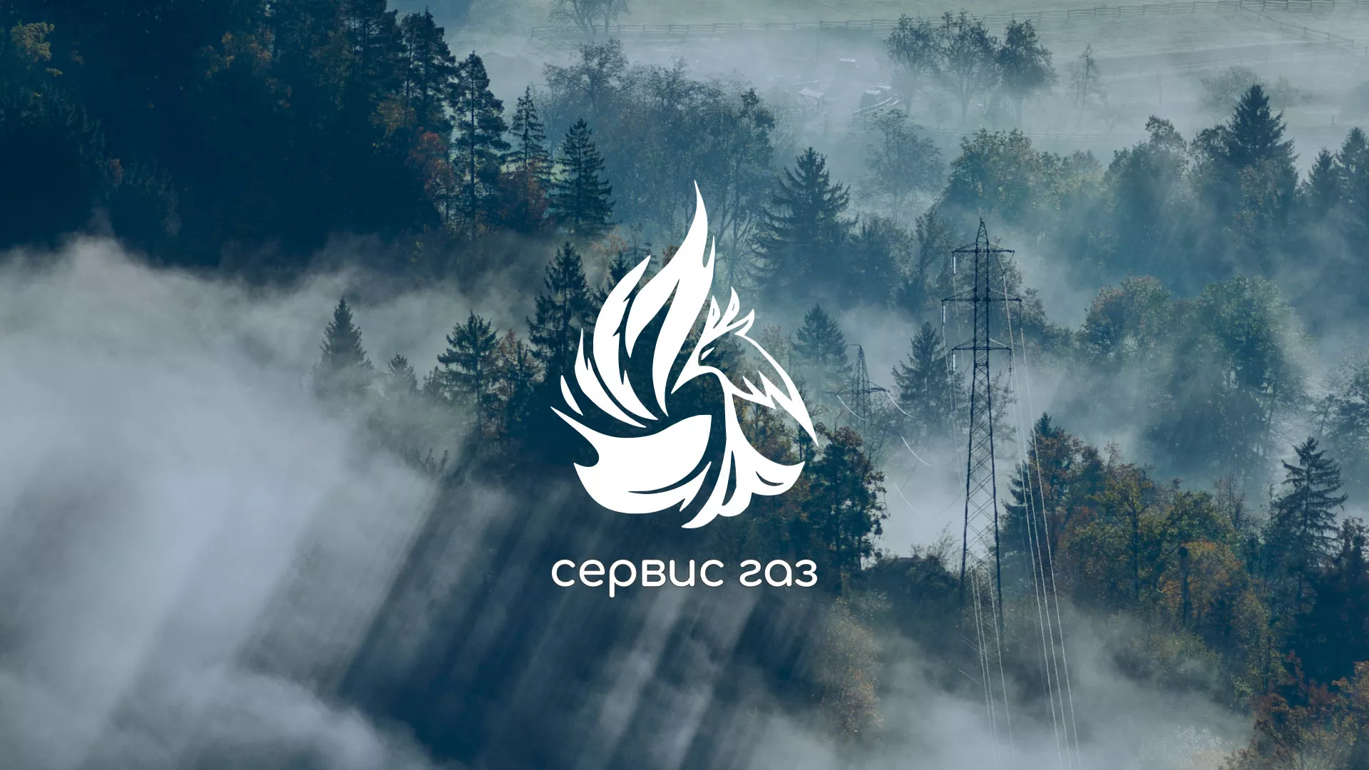Создание сайта компании «Сервис газ» в Змеиногорске