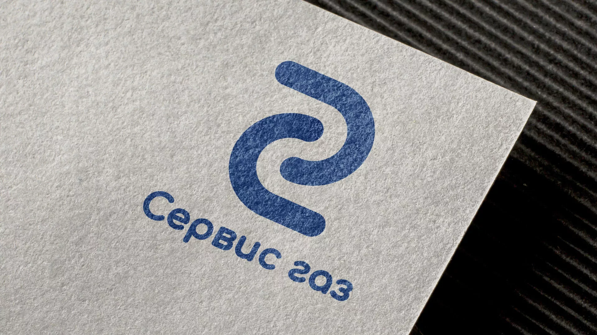 Разработка логотипа «Сервис газ» в Змеиногорске