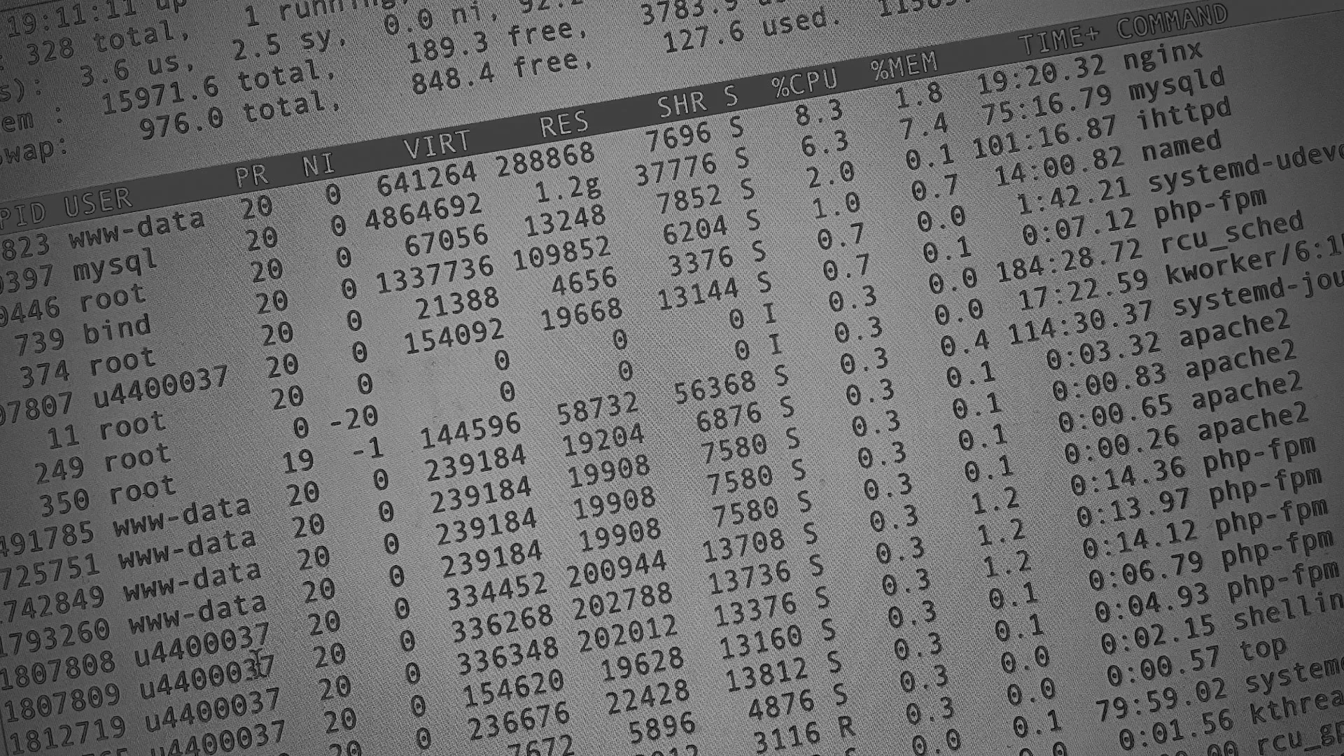 Настройка сервера в Змеиногорске