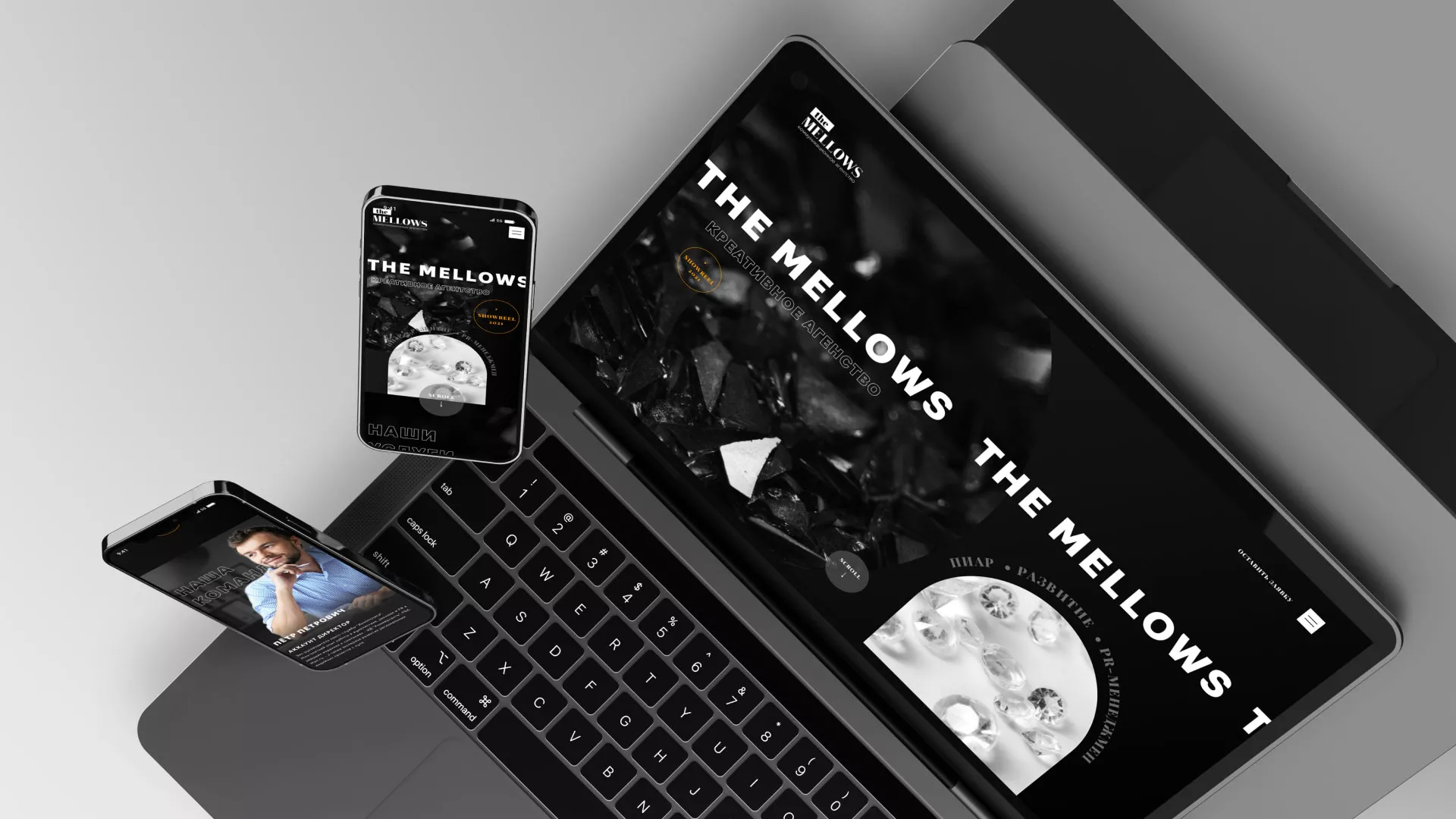 Разработка сайта креативного агентства «The Mellows» в Змеиногорске
