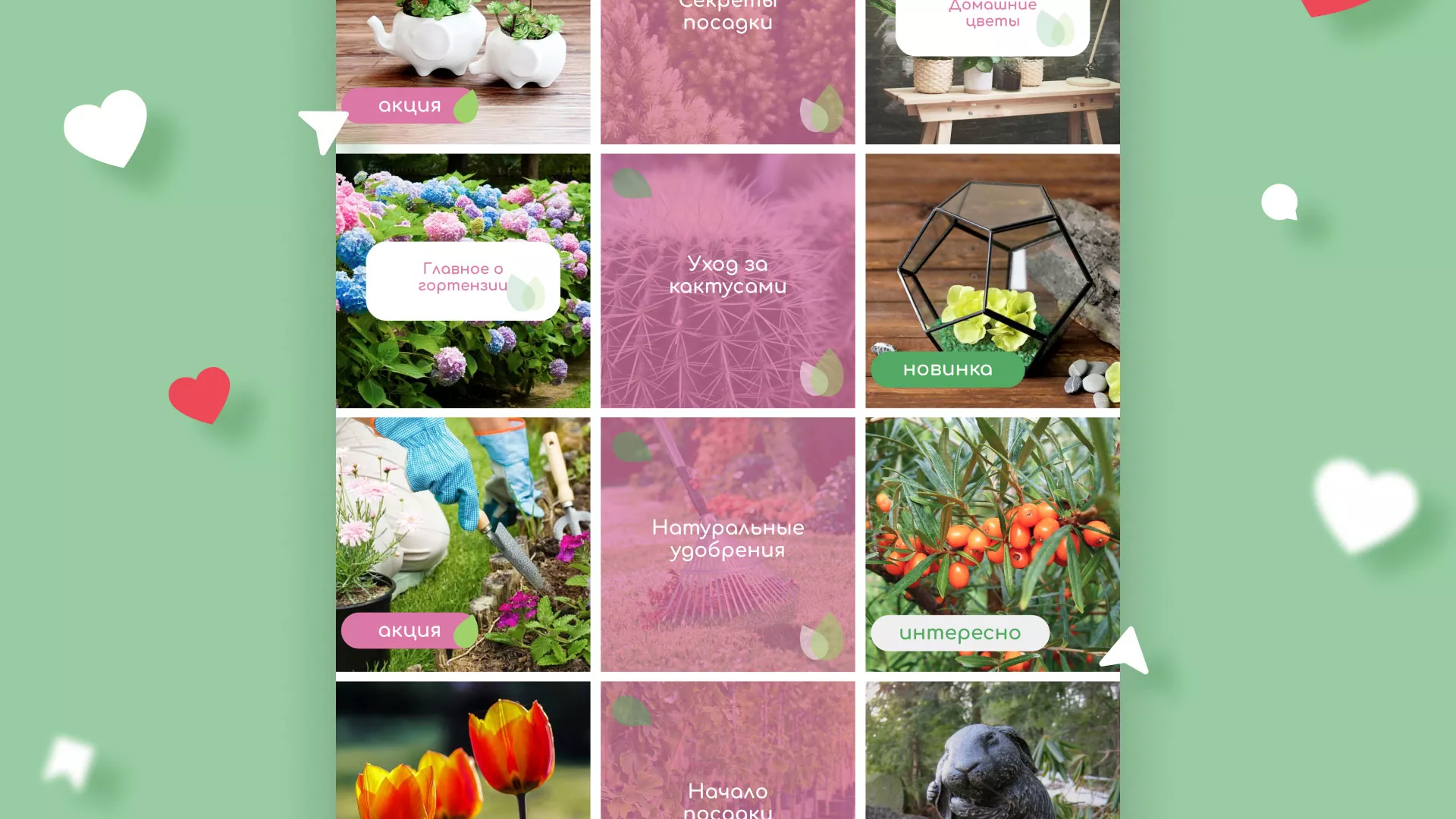 Разработка оформления профиля Instagram для магазина «Floraint» в Змеиногорске