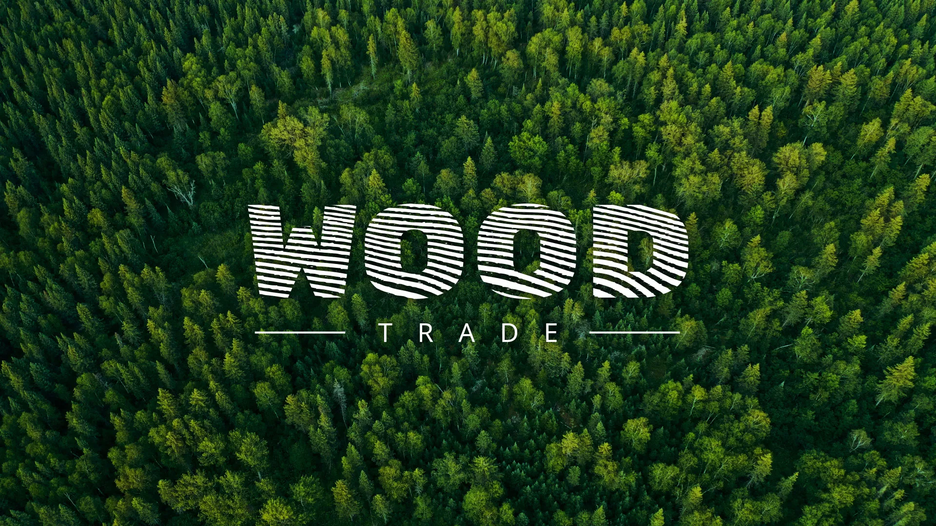 Разработка интернет-магазина компании «Wood Trade» в Змеиногорске