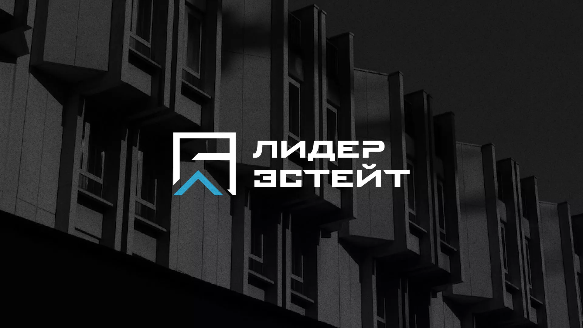 Разработка логотипа агентства недвижимости «Лидер Эстейт» в Змеиногорске